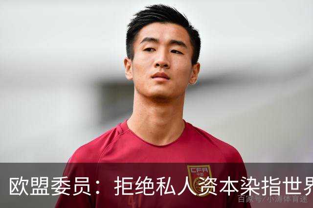 欧盟委员：拒绝私人资本染指世界杯 将调查是否违规